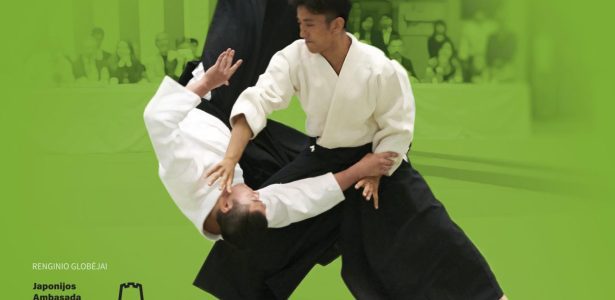 Mitsuteru Ueshiba, Hombu dojo cho seminaras ir Aikido festivalis
