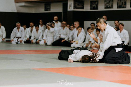 42257173 1982635305116690 851807583776800768 n