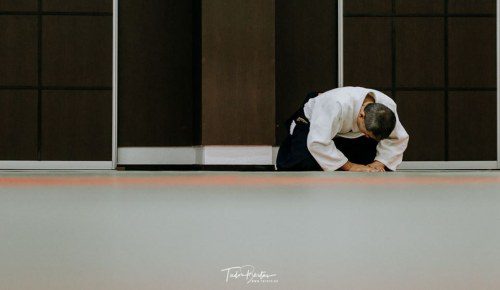 42276233 1982634508450103 438689978248069120 n