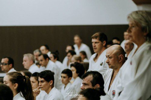 42307431 1982635535116667 1766674938250395648 n