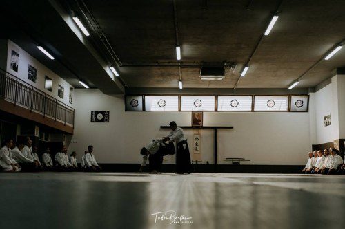 42311842 1982635941783293 6130233604996857856 n