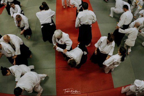 42320476 1982636858449868 572173863840907264 n