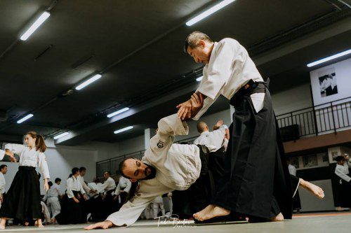 42362308 1982635845116636 5914470395259387904 n