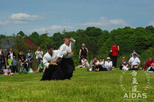 Aikido demonstracija Madzuchai sode 2010 05