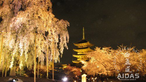 Kelionė į Japoniją 2013, 2 dalis